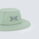 color_fern